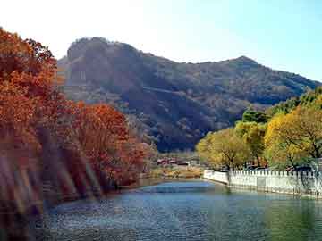 新澳门期期准精准，西北旅游论坛